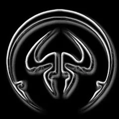 Schwarz-silbernes Profilbild von rune0488